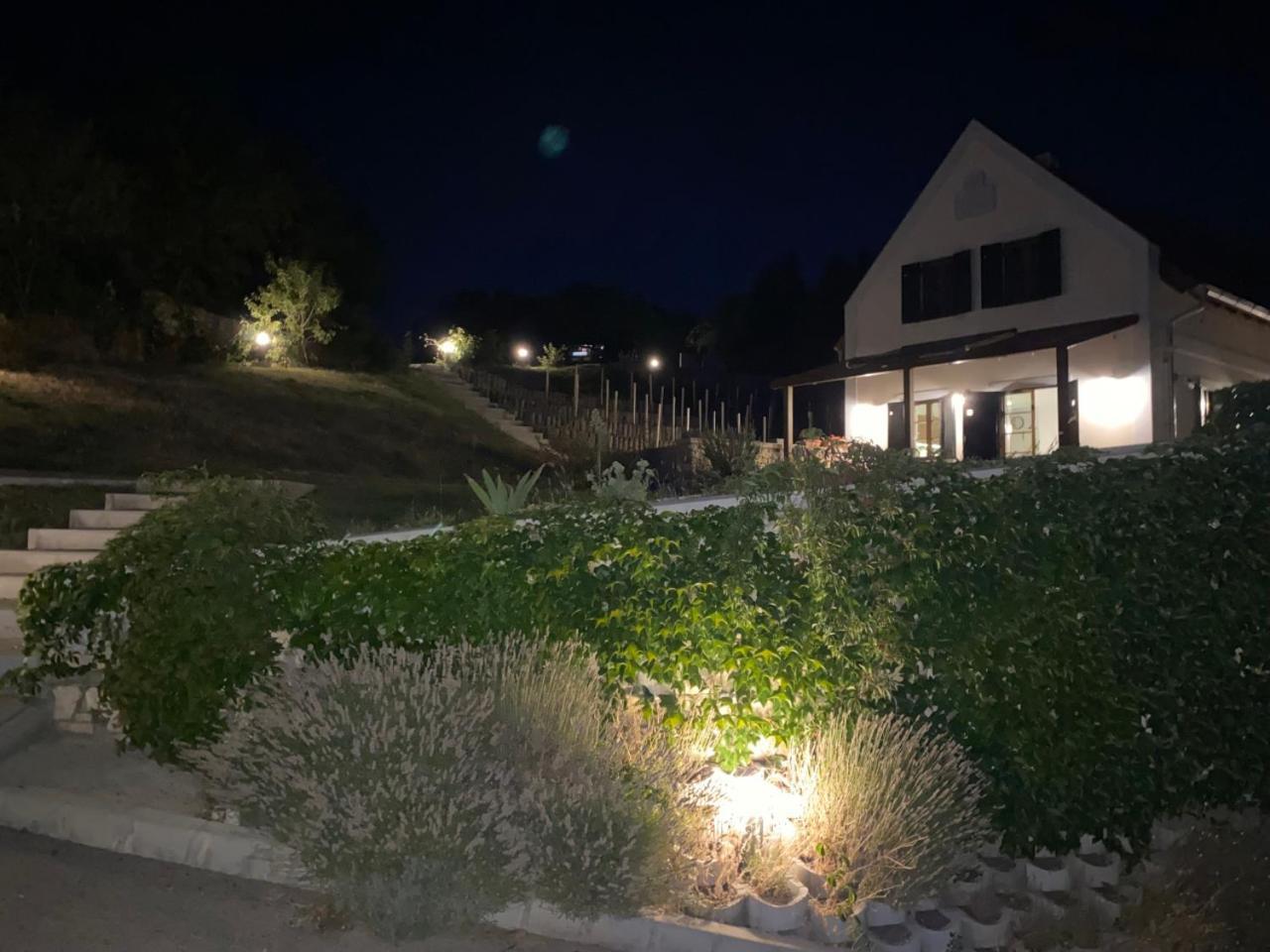 Borbora Borhaz Villa Vászoly Εξωτερικό φωτογραφία